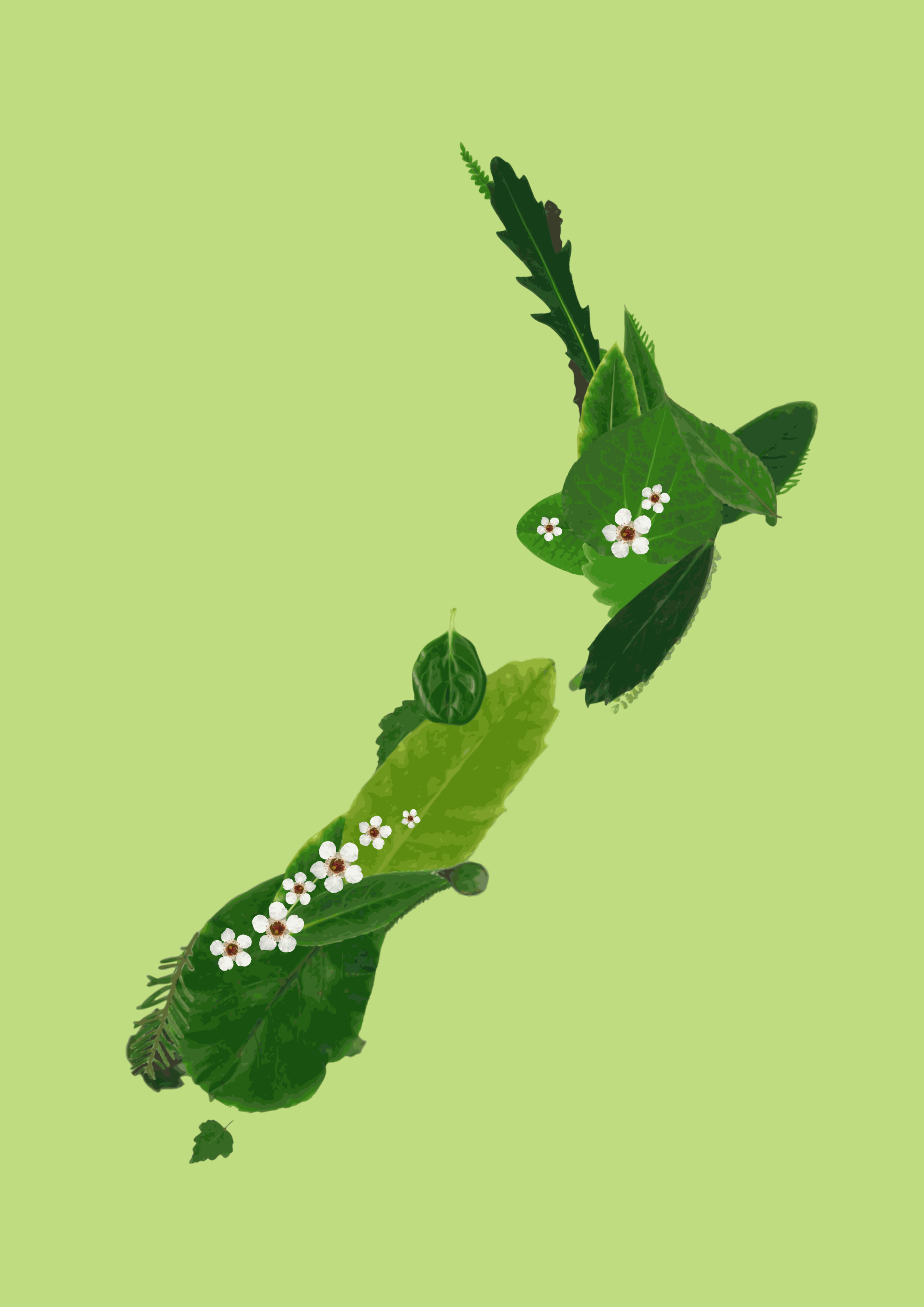 NZSPB Conference November 28th/29th 2024